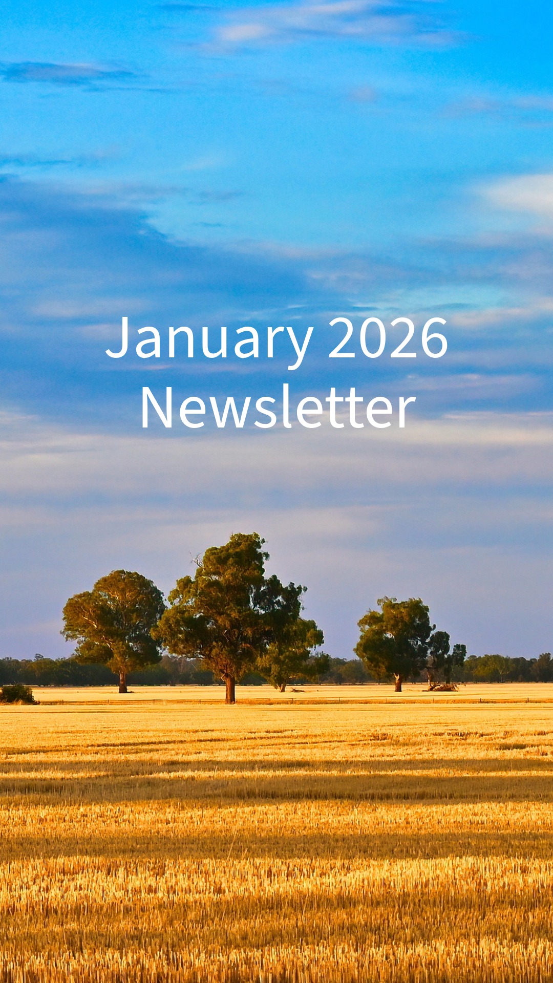 January 2026 Newsletter